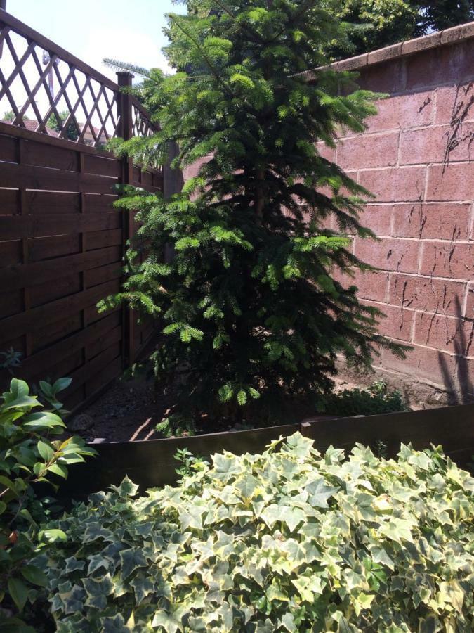 Апартаменты La Porta Nel Giardino Асти Экстерьер фото